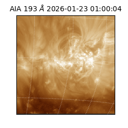 saia - 2026-01-23T01:00:04.843000