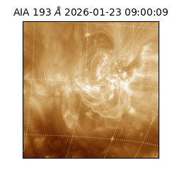 saia - 2026-01-23T09:00:09.468000