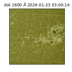 saia - 2026-01-23T03:00:14.126000