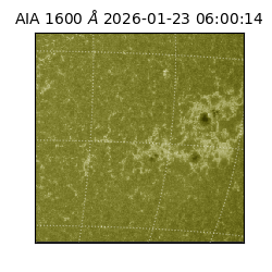 saia - 2026-01-23T06:00:14.118000