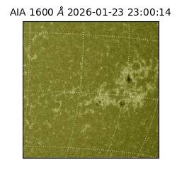 saia - 2026-01-23T23:00:14.118000