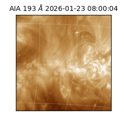saia - 2026-01-23T08:00:04.843000