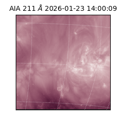 saia - 2026-01-23T14:00:09.626000