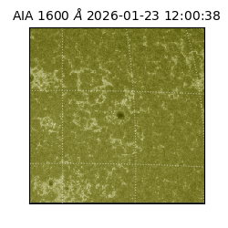 saia - 2026-01-23T12:00:38.118000