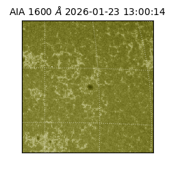 saia - 2026-01-23T13:00:14.118000