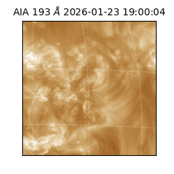 saia - 2026-01-23T19:00:04.842000