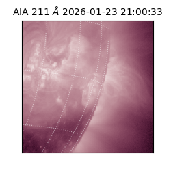 saia - 2026-01-23T21:00:33.626000