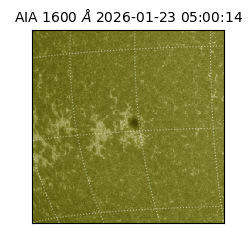 saia - 2026-01-23T05:00:14.126000