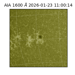 saia - 2026-01-23T11:00:14.126000