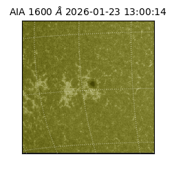 saia - 2026-01-23T13:00:14.118000