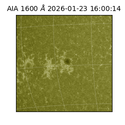 saia - 2026-01-23T16:00:14.118000