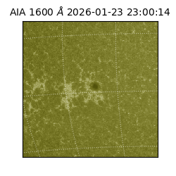 saia - 2026-01-23T23:00:14.118000