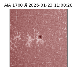 saia - 2026-01-23T11:00:28.718000