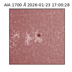 saia - 2026-01-23T17:00:28.710000