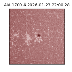 saia - 2026-01-23T22:00:28.722000