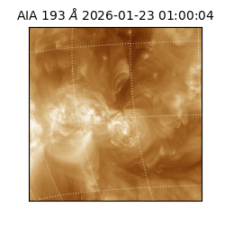 saia - 2026-01-23T01:00:04.843000