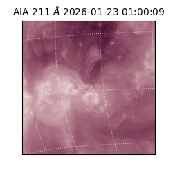 saia - 2026-01-23T01:00:09.626000