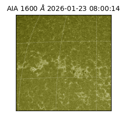 saia - 2026-01-23T08:00:14.131000