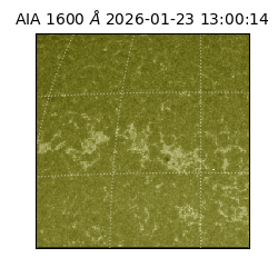 saia - 2026-01-23T13:00:14.118000