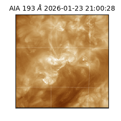 saia - 2026-01-23T21:00:28.843000