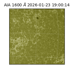 saia - 2026-01-23T19:00:14.126000