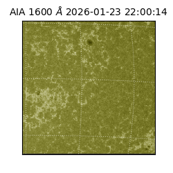 saia - 2026-01-23T22:00:14.126000