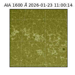 saia - 2026-01-23T11:00:14.126000