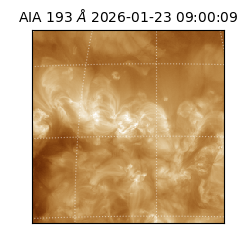 saia - 2026-01-23T09:00:09.468000