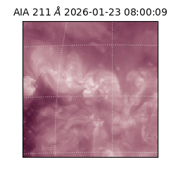 saia - 2026-01-23T08:00:09.632000