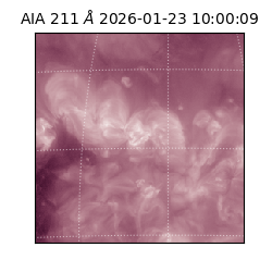 saia - 2026-01-23T10:00:09.626000