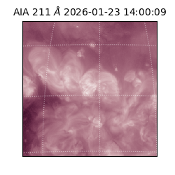 saia - 2026-01-23T14:00:09.626000