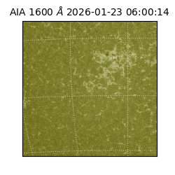 saia - 2026-01-23T06:00:14.118000