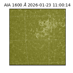 saia - 2026-01-23T11:00:14.126000