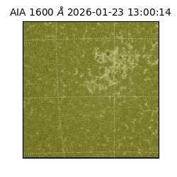 saia - 2026-01-23T13:00:14.118000