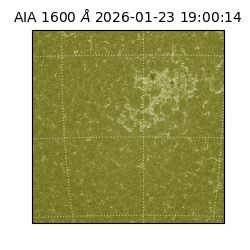 saia - 2026-01-23T19:00:14.126000