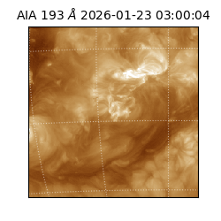 saia - 2026-01-23T03:00:04.843000