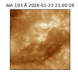 saia - 2026-01-23T21:00:28.843000