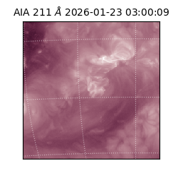 saia - 2026-01-23T03:00:09.626000