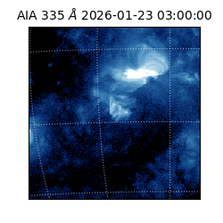 saia - 2026-01-23T03:00:00.625000