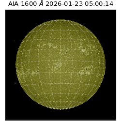 saia - 2026-01-23T05:00:14.126000