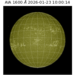 saia - 2026-01-23T10:00:14.126000