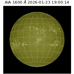 saia - 2026-01-23T19:00:14.126000