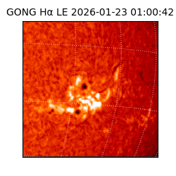 gong - 2026-01-23T01:00:42