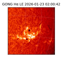 gong - 2026-01-23T02:00:42