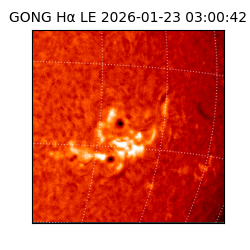 gong - 2026-01-23T03:00:42