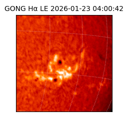 gong - 2026-01-23T04:00:42