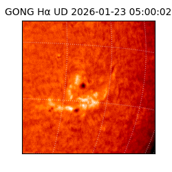 gong - 2026-01-23T05:00:02