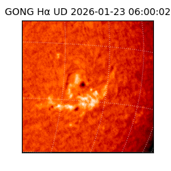 gong - 2026-01-23T06:00:02