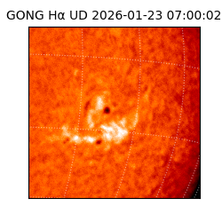 gong - 2026-01-23T07:00:02