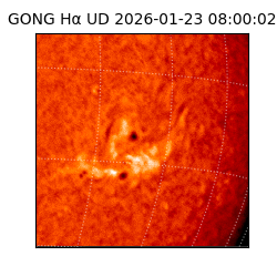 gong - 2026-01-23T08:00:02